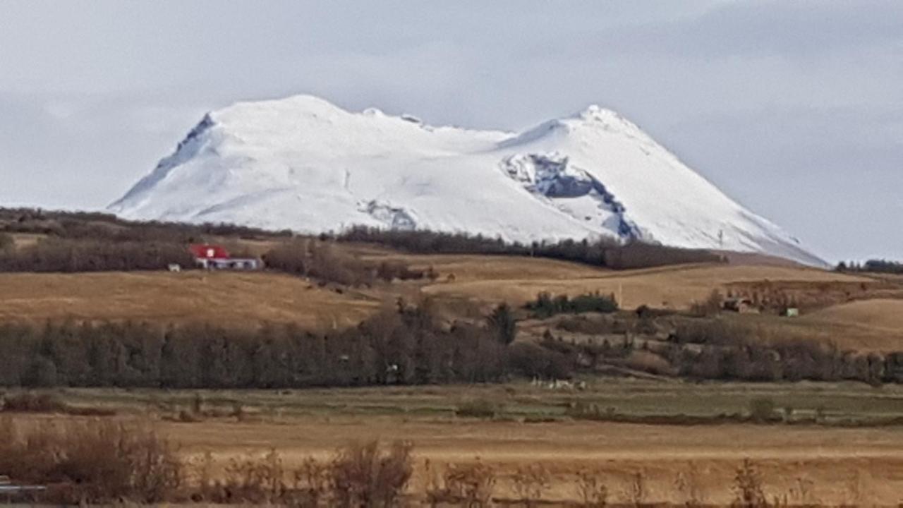 Adorable Cosy And Private New Cabin In The South Hvolsvöllur Buitenkant foto