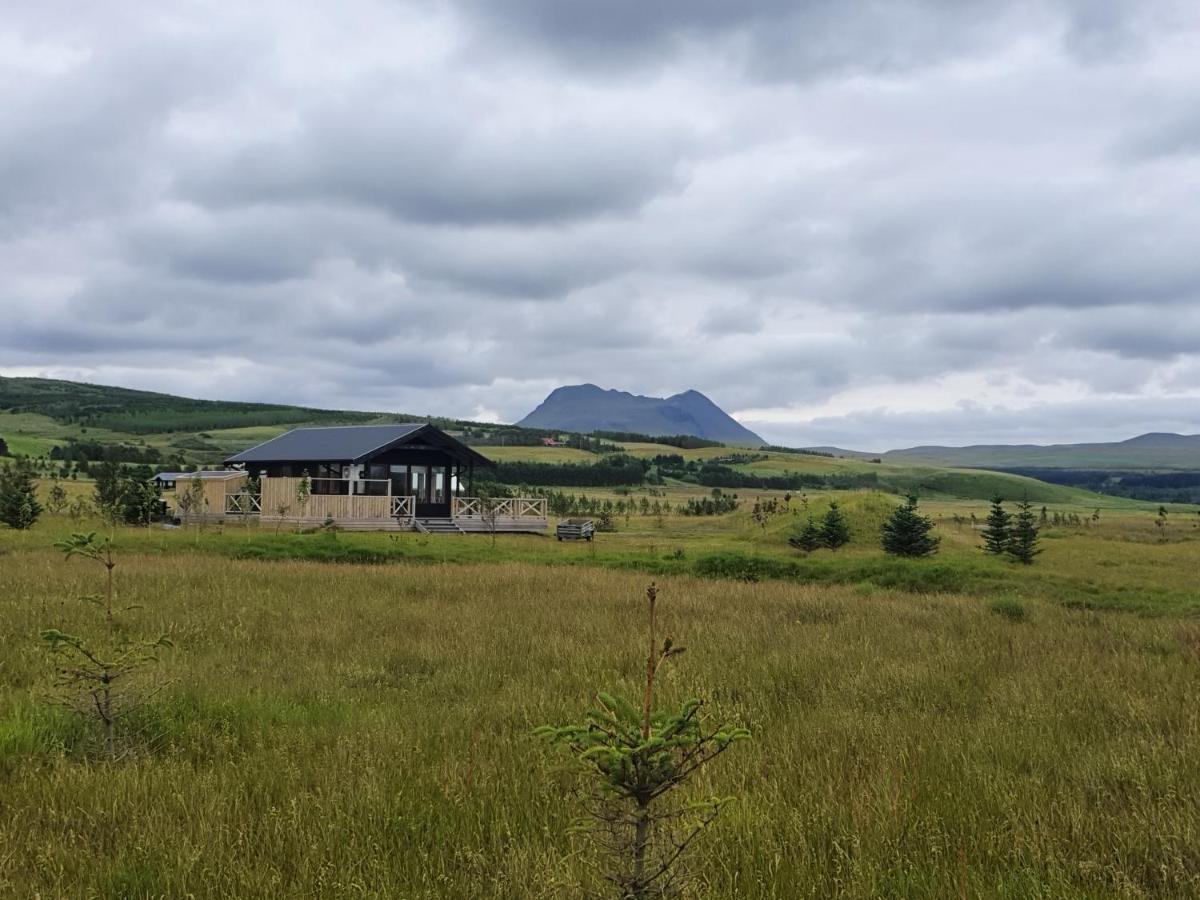 Adorable Cosy And Private New Cabin In The South Hvolsvöllur Buitenkant foto